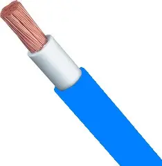 3153827.webp