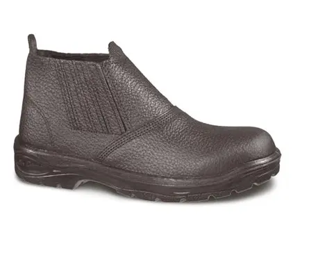 3194248.webp