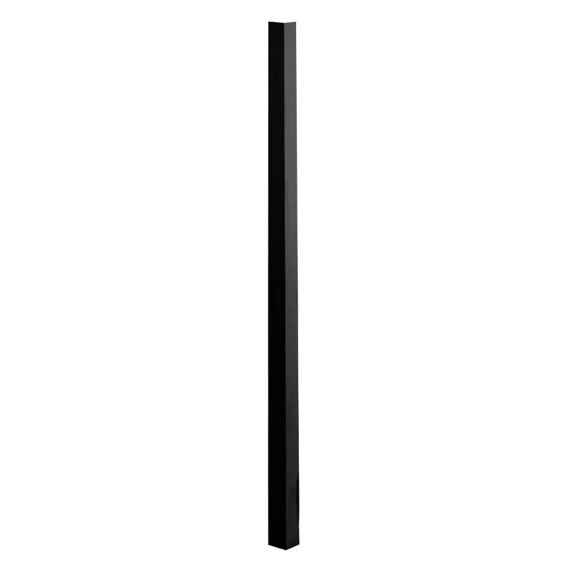 7006454.webp
